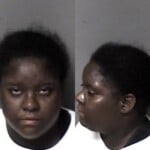 Darika Barnes Dwi Open Container After Consuming Alcohol 1st Fail Maintain Lane Control