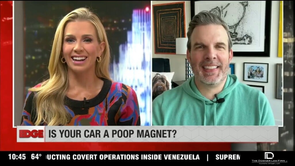 Birds Poop On Certain Vehicles