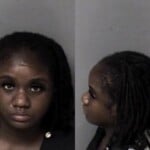 Anne Altidor Dwi Hitrun Leave Scene Property Damage Open Container After Consuming Alcohol 1st Fail Maintain Lane Control