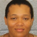 Dana Gibson Felony Larceny