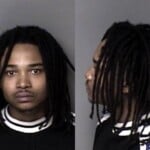 Lemarion Danner Possess Stolen Firearm Carry Concealed Weapon