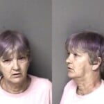 Belinda Howson Dwi Insurance Operate Veh No Liability Canclrevoksusp Certiftag License No Operators