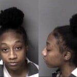 Ayana Silerrippy Habeas Corpus Failure To Appear Misdemeanor