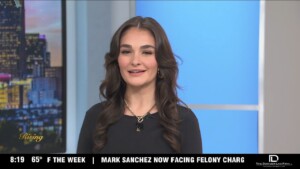 Charlotte Realtor Brings Real Estate To Tv