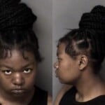 Aleecia Mcdowell Resist Public Officer Conspiracy Larceny Misdemeanor
