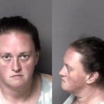 Annalee Hardin Larceny Motor Vehicle