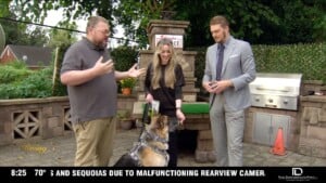Pet Of The Week