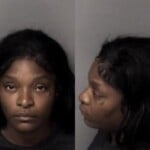 Brittni Williams Extraditionfugitive Other State Larceny Misdemeanor