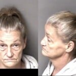 Diane Coveney Obtain Property False Pretense Conspiracy