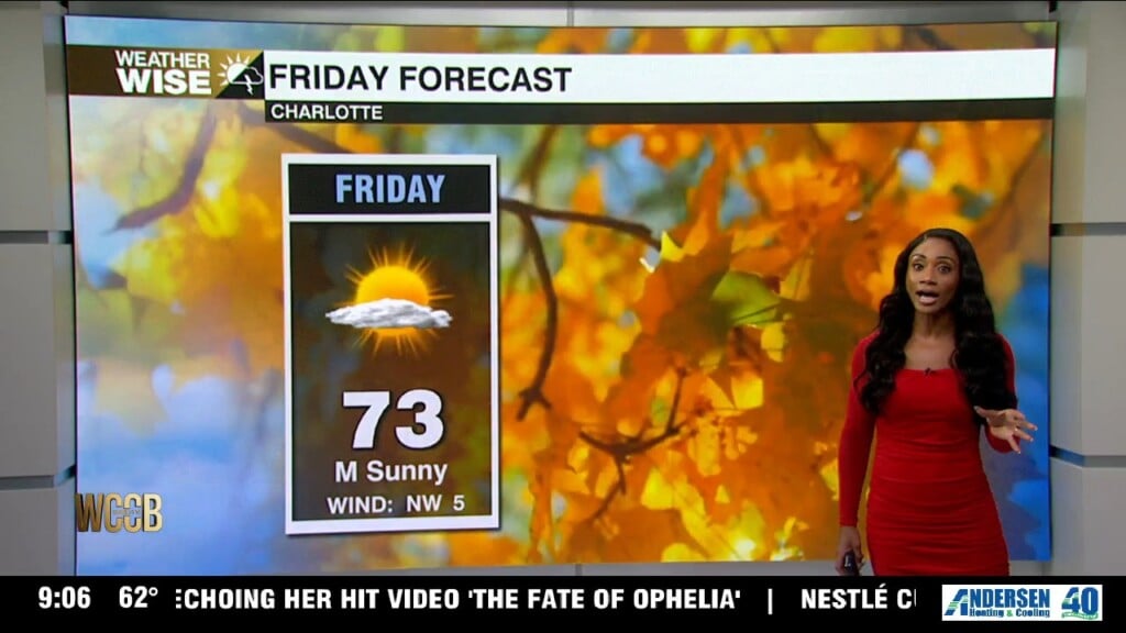 More Sunshine Friday