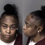 Tamara Barnes Habeas Corpus
