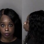 Shekita Leslie Misd Crime Of Dom Violence Child Abuse