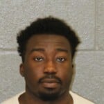 Timi Ariyo Felony Larceny
