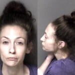 Natasha Davis Possess Schedule Ii Controlled Substance Possess Drug Paraphernalia