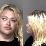 Angel Howard Lighting Rear Lamps Violation