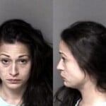 Rebecca Dimmer Larceny Possess Stolen Property Aid Abet