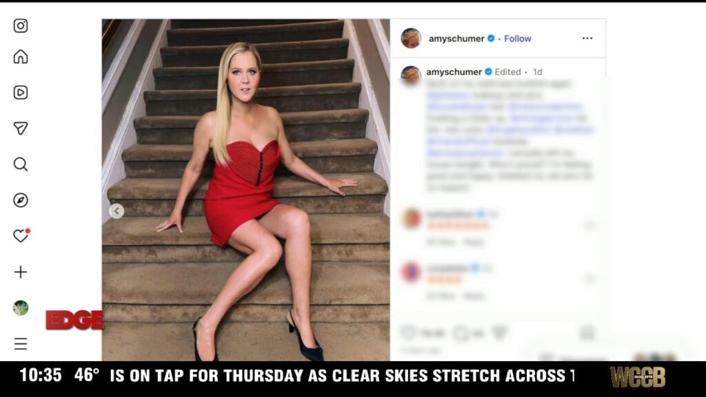 Amy Schumer Scrubs Her Social Media Page