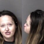 Amanda Gills Possess Stolen Property Possess Stolen Motor Vehicle Laceny Dog Larceny Motor Vehicle