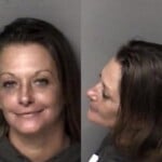 Christina Diehl Dwi Reckless Driving Wanton Disregard Open Container After Consuming Alcohol Fail Maintain Lane Control Fail To Stop Steady Red Light