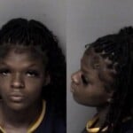 Kanaya Reed Assault Simple