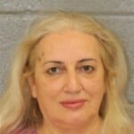 Vaska Brkovic Felony Larceny