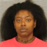 Alexis Simpson Misdemeanor Larceny Fleeelude Arrest Wmv Assault Govt Officialemply Injury To Personal Property Resisting Public Officer Communicating Threats