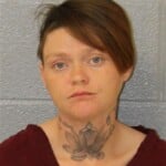 Julia Carcamo Fugitive Extradition Other State Probation Violation