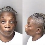 Vera Williams Patient Abuse And Neglect Assault Handicapped