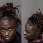 Shamiya Brown Assault Simple