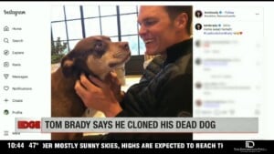 Tom Brady Clones His Dog