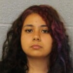 Ana Gonzalez Fleeing Eluding Arrest Larceny Resisting Officer