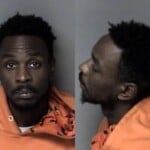 Teglan White Hit And Run Fail Stop Property Damage No Operators License