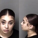 Jaydn Corrigan Misd Crime Of Dom Violence