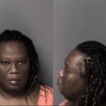 Meranda Reed Crime Of Domestic Violence