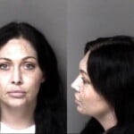 Carly Chamberlin Larceny