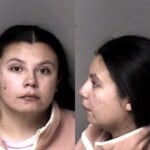 Isabella Garcia Misd Crime Of Dom Violence