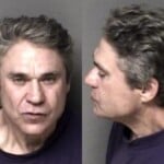 Lewis Berry Misd Crime Of Dom Violence