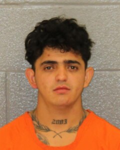 Welder Zelaya Diaz Assault With Deadly Weapon