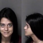 Lauren Morgan Larceny Motor Vehicle
