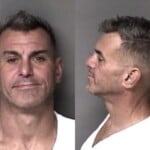 Timothy Snyder Habeas Corpus