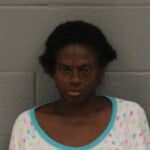 Jessica Johnson Second Degree Trespass Defrauding Innkeeper