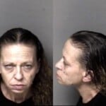 Windy Hellekson Obtain Property False Pretense Possess Stolen Property