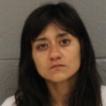 Karelia Torrezizaguirre Breakenter Motor Veh W Theft Felony Larceny
