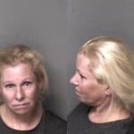 Sonya Eckardt Assault Simple