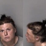 Krista Hawkins Interfere Elect Monitor Dev