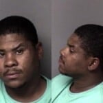 Michael Collins Misd Crime Of Dom Violence