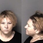 Dina White Larceny Misdemeanor Possess Methamphetamine Possess Drug Paraphernalia