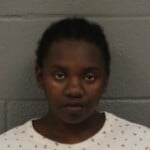 Brianna Sampson Felony Larceny