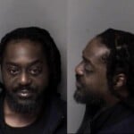 Vincent Carter Fail Reprt New Addresssex Off