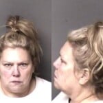 Janet Mullinax Larceny Misdemeanor